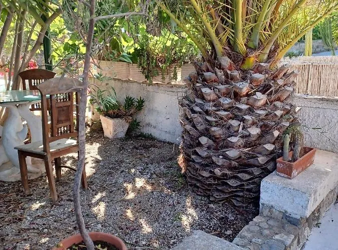 Magi - Violetta * Πόντσα